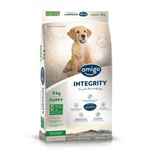 Amigo Integrity Puppy