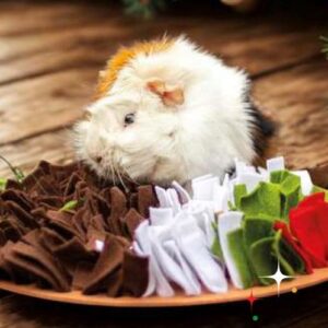 Rosewood Pudding Snuffle Forage Mat 30cm