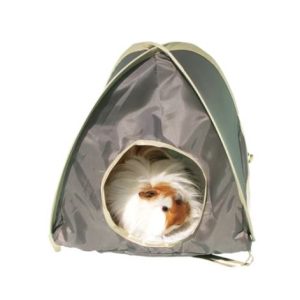 Rosewood Medium Pop Up Tent
