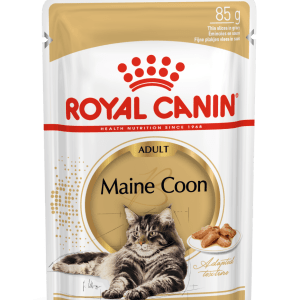 Royal Canin Maine Coon Wet Food