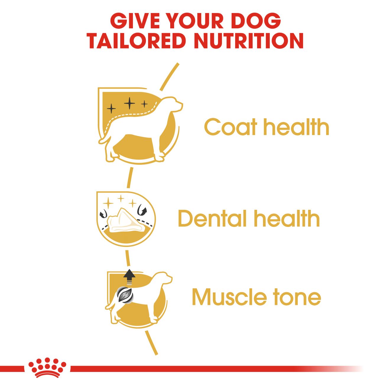 Royal Canin Poodle Adult - Image 3