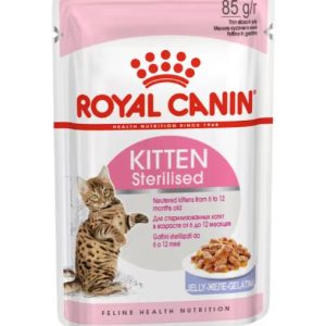 Royal Canin Sterilised Kitten in Jelly