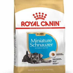 Royal Canin Miniature Schnauzer Puppy
