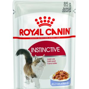 Royal Canin Instinctive Adult in Jelly